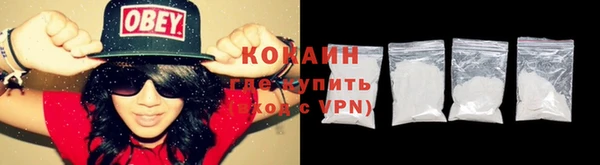 молекула духа Богородск