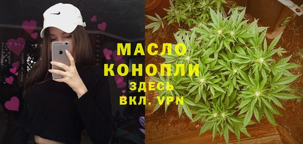 молекула духа Богородск