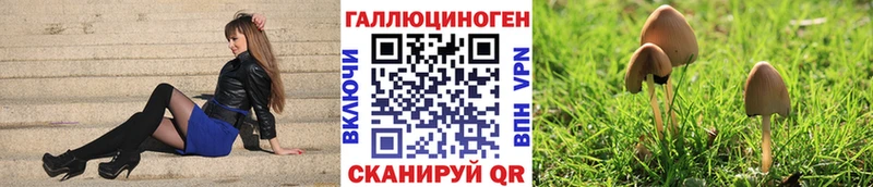 Псилоцибиновые грибы MAGIC MUSHROOMS  Называевск 