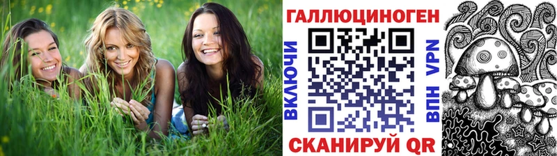 Псилоцибиновые грибы Cubensis Называевск